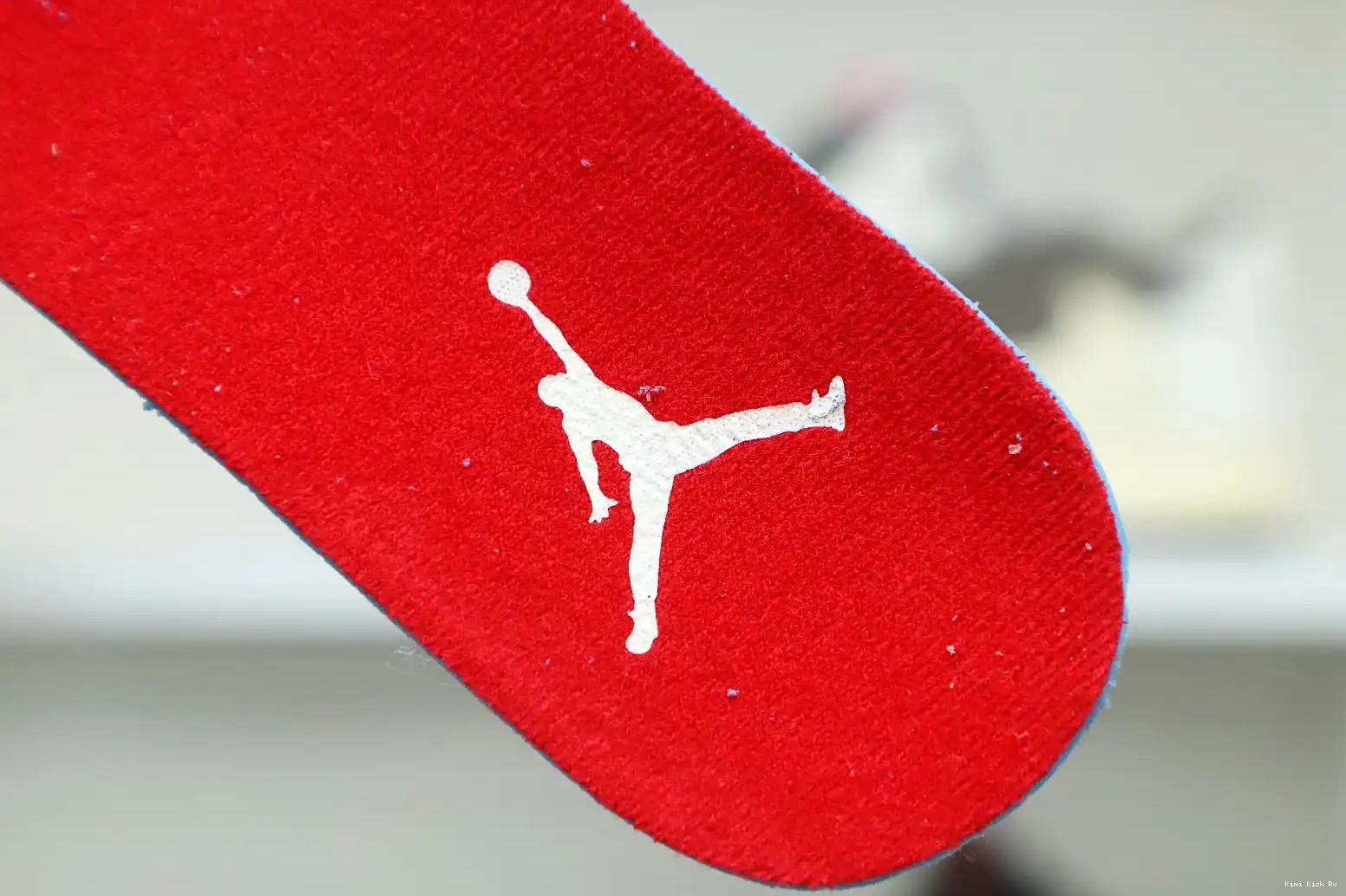 'WILD 4 THINGS' GS JORDAN RETRO Kimikick AIR 0615